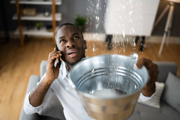 Best Water damage restoration near me  in Fairbanks, AK