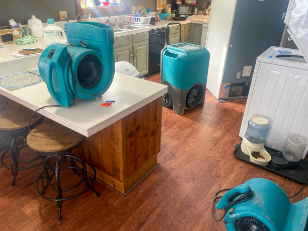 24/7 water damage repair in AK