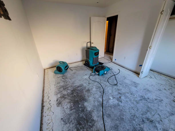 Local water damage restoration in AK
