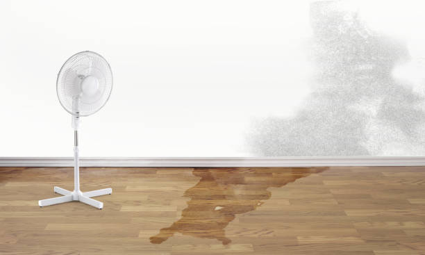 Best Water damage contractors near me  in Fairbanks, AK
