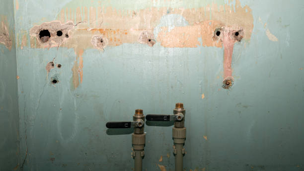 Best Fire Damage Restoration  in Fairbanks, AK