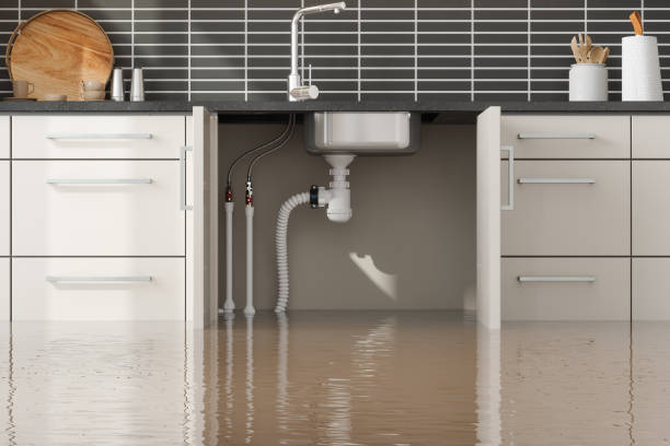 Best Flood damage cleanup  in Fairbanks, AK