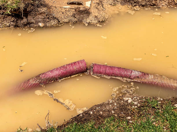 Best Flood restoration services  in Fairbanks, AK